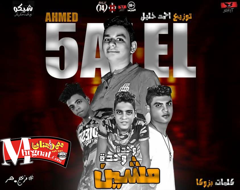 مهرجان مشين وحدة وحدة غناء حسين سمكه و محمد ميدو كلمات حسن بزوكا توزيع احمد خليل
