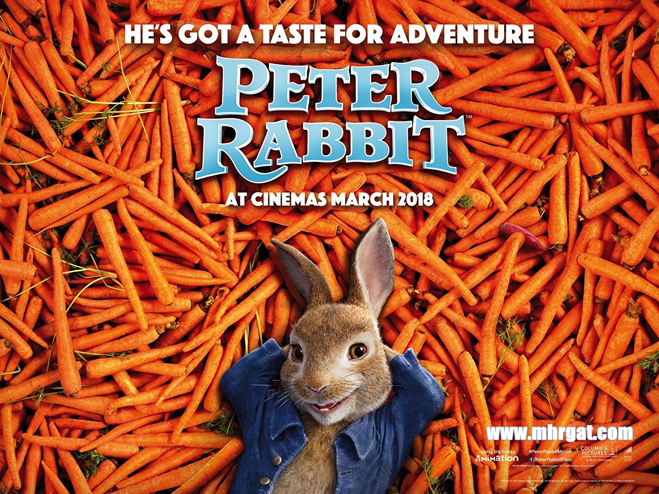 فيلم Peter Rabbit 2018 مـتـرجـم فيلم Peter Rabbit 2018 مـتـرجـم