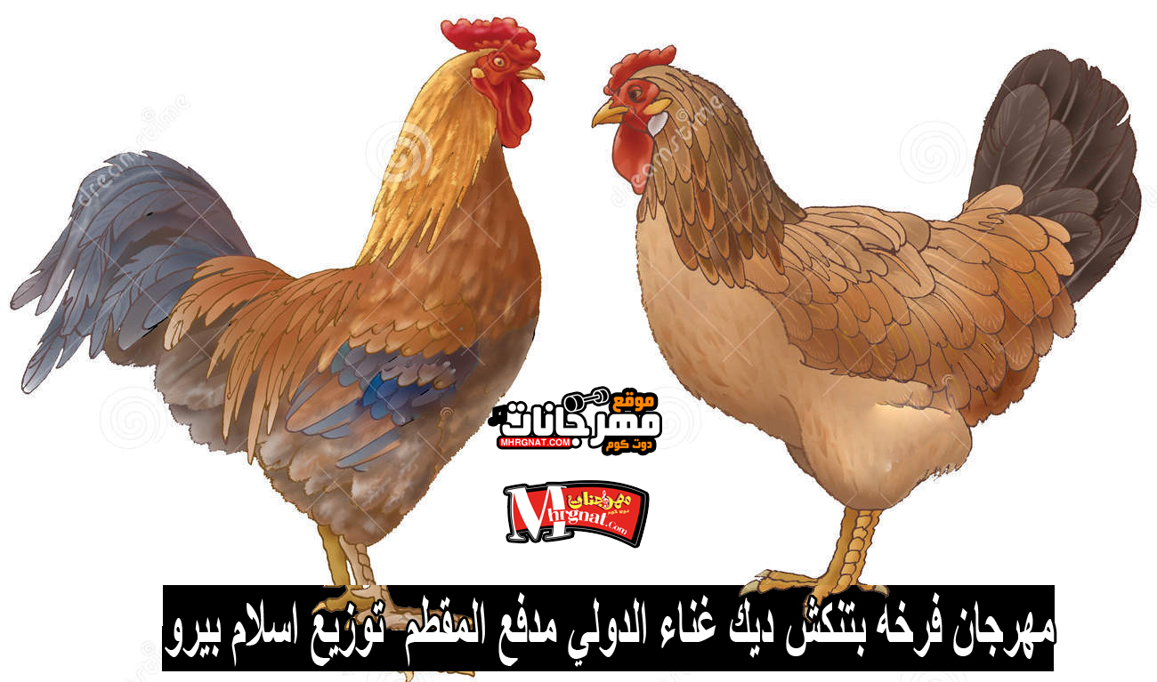 مهرجان فرخه بتنكش ديك 2018 غناء الدولي مدفع المقطم توزيع اسلام بيرو