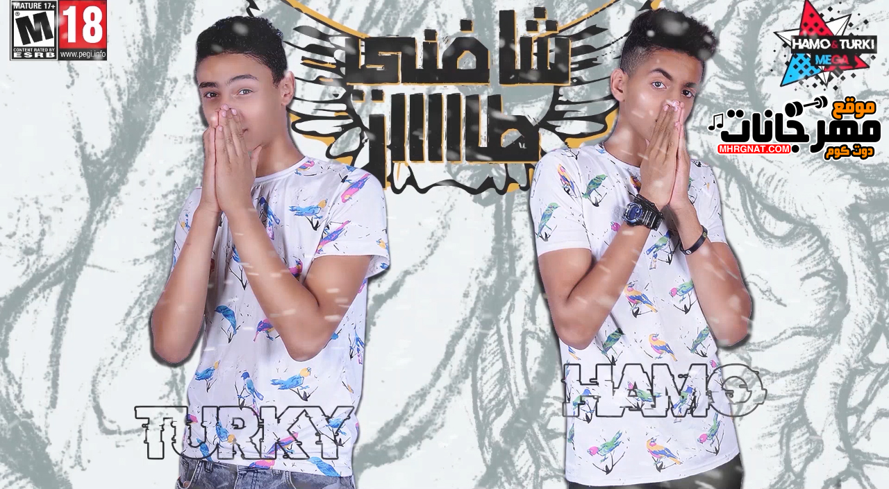 مهرجان شافنى طار – تركى – حمو – ميجا – MP3
