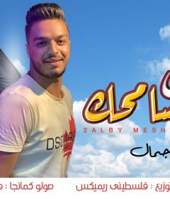 اغنيه قلبي مش مسامحك- مشيو جمال – مزيكا وتوزيع فلسطيني ريمكس – صولو كمنجا هشام اتش