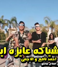 مهرجان الشياكه عايزه ايه – احمد نافع و الاجنبى – كلمات كالوشا – توزيع اسلام ساسو