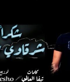 مهرجان شكرا – شرقاوي شيكو – توزيع بيشو – كلمات تيفا العالمي – انتاج Trend Media