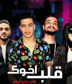 مهرجان قلب اخوك – حماده الصغير اورج احمد عصام كلمات احمد الشاعر توزيع خالد لولو