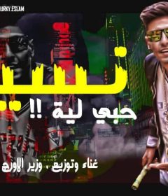 مهرجان نسيتو حبي ليه – عصفوره ريمكس