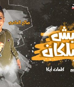 مهرجان مفيش سلكان – صالح العافرى – كلمات ايكا – توزيع شوبير