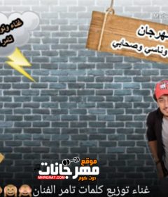 مهرجان حبيبتي وناسي وصحابي – تامر الفنان – MP3