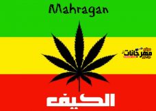 مهرجان الكيف حمو الدولي ومحمود ريشه واحمد الأجنبي توزيع النجم بلال مهرجان الكيف حمو الدولي ومحمود ريشه واحمد الأجنبي توزيع النجم بلال
