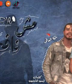مهرجان مش نافعه – سيد اكس و شيكا العالمى – كلمات ايسو المجنون – توزيع طه انترناشونال