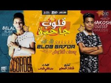مهرجان قلوب جاحدة – يوسف الصغير – بلال علام – توزيع شطه المعلم – انتاج ستار 7 مهرجان قلوب جاحدة – يوسف الصغير – بلال علام – توزيع شطه المعلم – انتاج ستار 7