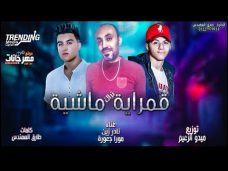 مهرجان قمرايه ماشيه – نادر زين و مورا جعوره -كلمات طارق المهندس توزيع ميدو الزعيم مهرجان قمرايه ماشيه – نادر زين و مورا جعوره -كلمات طارق المهندس توزيع ميدو الزعيم
