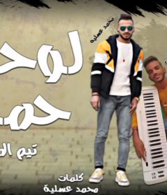 مهرجان لوحدي حملة – احمد بيكا و محمد عسلية – توزيع مصطفى النوبي