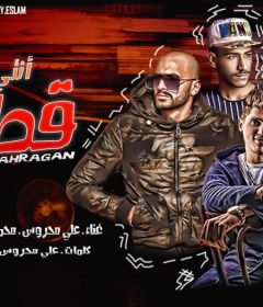 مهرجان قطقوطه انتي قطوطه – علي محروس و هجرس تيك توك و مصطفي انجكس – توزيع محمد الريس