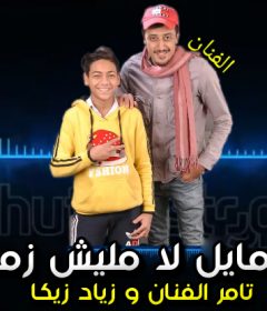 مهرجان زمايل لا مليش زمايل – تامر الفنان و زياد زيكا – توزيع استديو الفنان