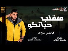 مهرجان هقلب حياتكو عليكو – ادهم طارق – توزيع مصطفى النوبي مهرجان هقلب حياتكو عليكو – ادهم طارق – توزيع مصطفى النوبي