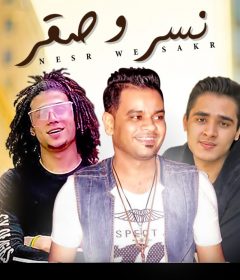اغنيه نسر و صقر – علي فاروق و سعيد فتله – كلمات محمد النجار – توزيع فلسطيني ريمكس