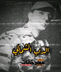 تراك الدب الشمالي – يوسف الجوكر توزيع مولتوف