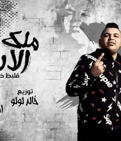 مهرجان ملك الارض – قلبظ خطر – كلمات امير صبحى – توزيع خالد لولو