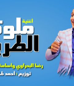 اغنية ملوك الطريق – رضا البحراوي واسامة الصغير و فانتا – توزيع احمد طارق يحي